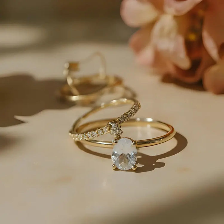 Timeless Elegance Collection