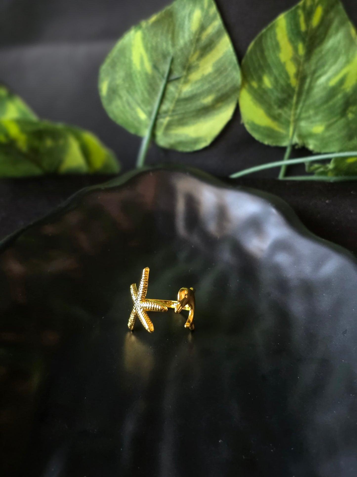 Delyra Ring