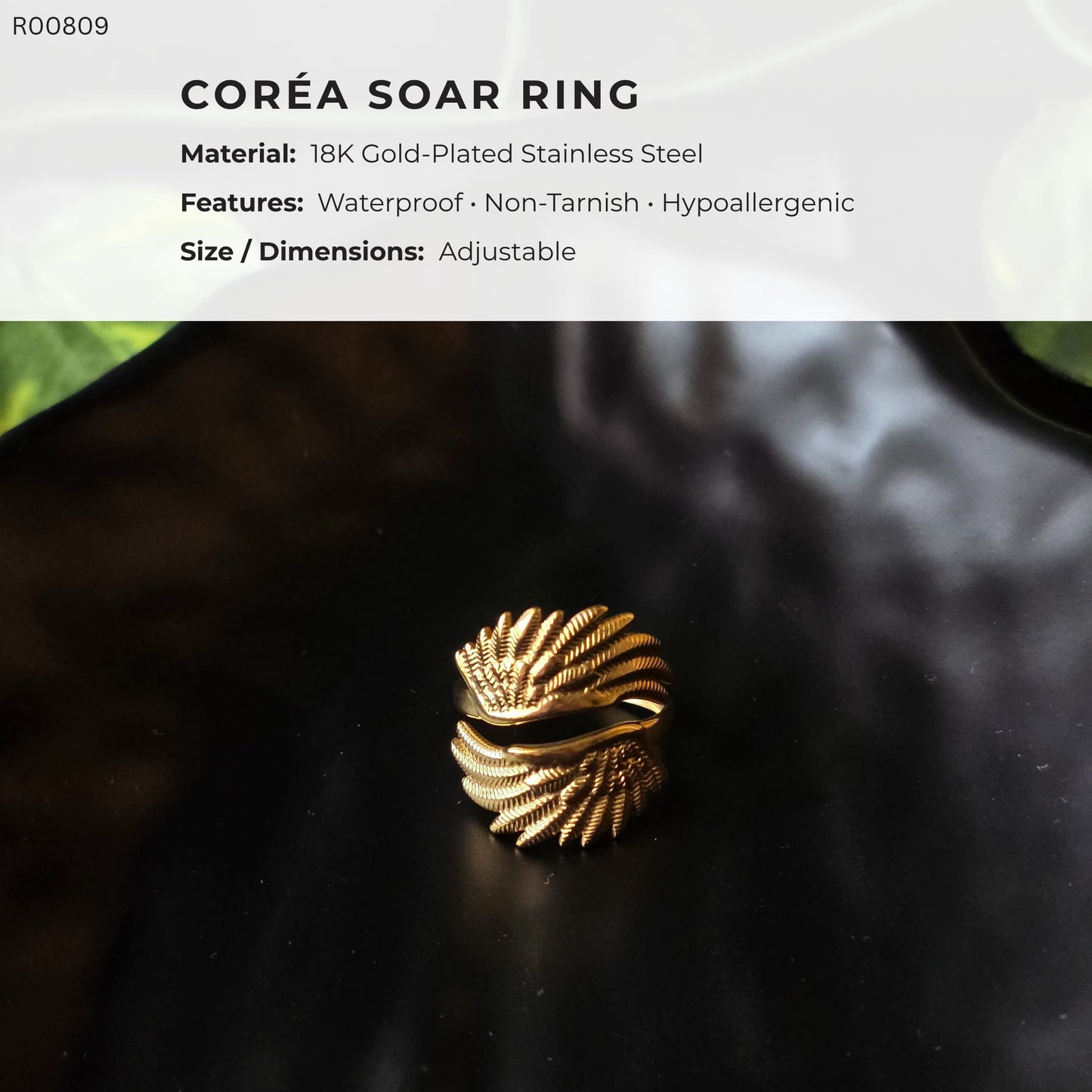 Coréa Soar Ring